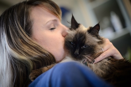 Grown-up felines need love, too: BC SPCA offers adult cat adoption event | iNFOnews.ca Grown-up felines need love, too: BC SPCA offers adult cat adoption event | iNFOnews.ca
