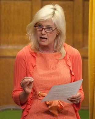 Mississauga mayor considering legal action after allegations against her | iNFOnews.ca