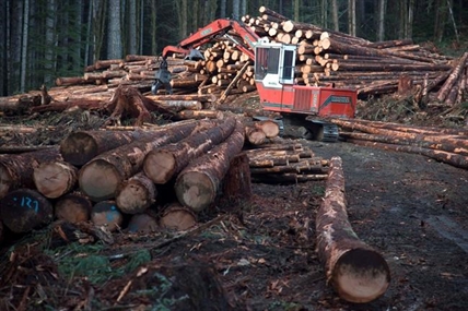Canada and U.S. to keep softwood talks going despite deadline expiry | iNFOnews.ca
