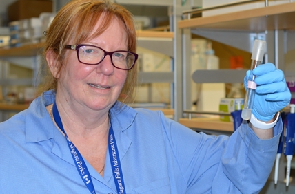 UBC identifies bacteria linked to acid produced at mining sites | iNFOnews.ca UBC identifies bacteria linked to acid produced at mining sites | iNFOnews.ca