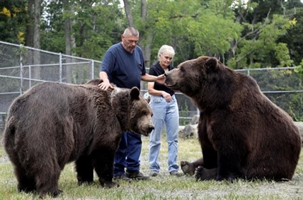 Bear with him: Man grabs attention for hugging big bears | iNFOnews.ca Bear with him: Man grabs attention for hugging big bears | iNFOnews.ca