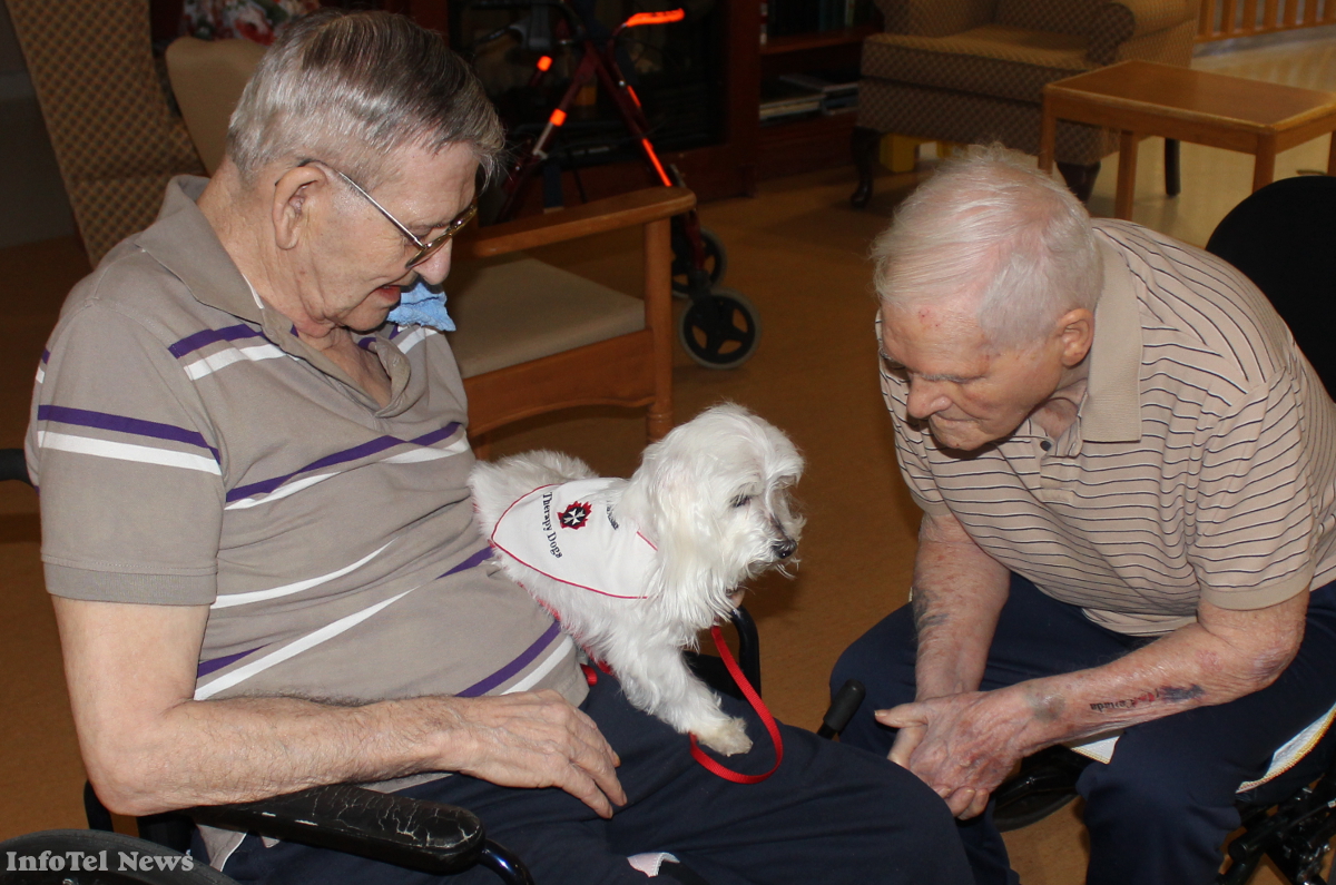 Therapy dogs fetch smiles, laughter | iNFOnews.ca