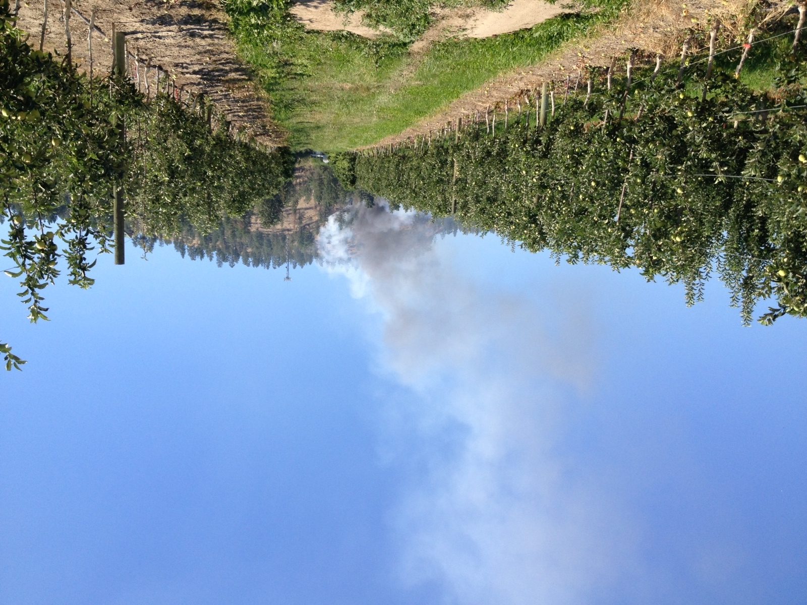 UPDATE: Crews mopping up Glenmore brush fire | iNFOnews.ca UPDATE: Crews mopping up Glenmore brush fire | iNFOnews.ca