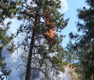 UPDATE: Crews mopping up Glenmore brush fire | iNFOnews.ca UPDATE: Crews mopping up Glenmore brush fire | iNFOnews.ca