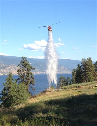 Penticton’s top stories of the week | iNFOnews.ca