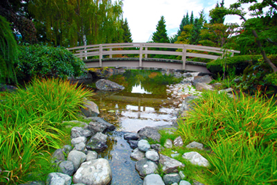 Kasugai Gardens to close for winter | iNFOnews.ca Kasugai Gardens to close for winter | iNFOnews.ca