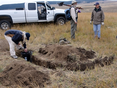 iNPHOTOS: Humans dig a housing development for owls near Kamloops | iNFOnews.ca