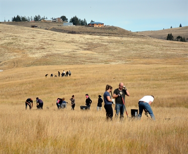 iNPHOTOS: Humans dig a housing development for owls near Kamloops | iNFOnews.ca