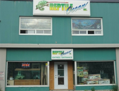 New Brunswick RCMP say two young boys killed by python while asleep | iNFOnews.ca New Brunswick RCMP say two young boys killed by python while asleep | iNFOnews.ca