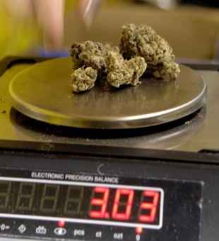 Ottawa places three-gram daily limit on medical pot it covers for veterans | iNFOnews.ca