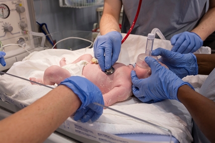 Premature babies at KGH breathe easier thanks to TB Vets gift | iNFOnews.ca