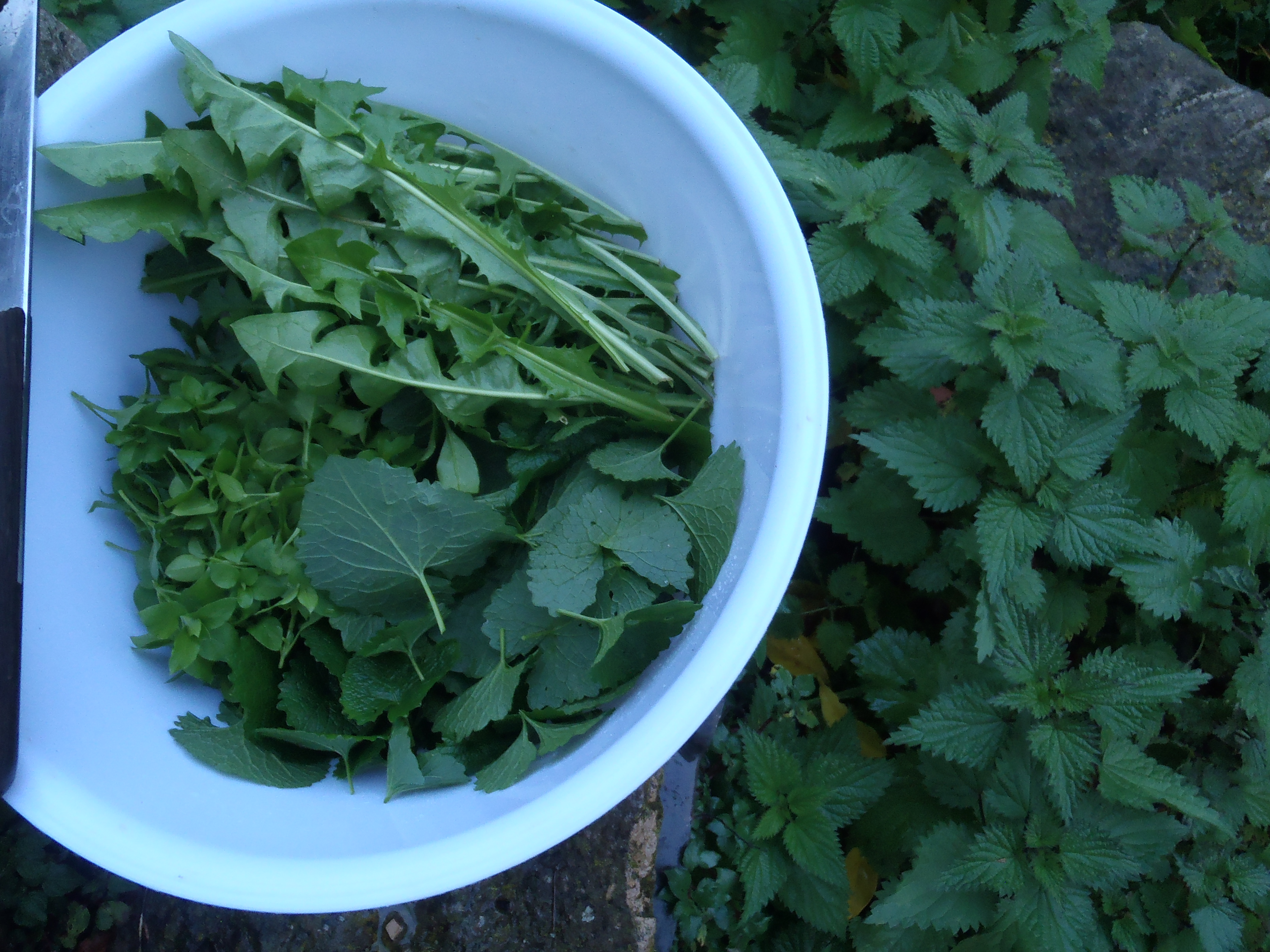 MORAN: Working and eating my way across Spain | iNFOnews.ca