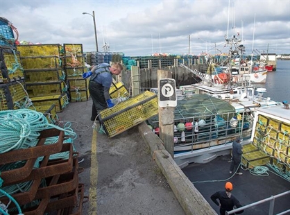 'Dumping Day' docked by blustery forecasts in effort to make lobster hunt safer | iNFOnews.ca 'Dumping Day' docked by blustery forecasts in effort to make lobster hunt safer | iNFOnews.ca
