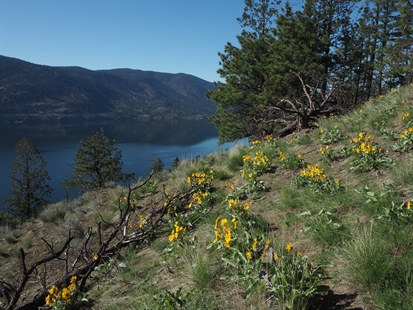 Envisioning a resilient Okanagan | iNFOnews.ca Envisioning a resilient Okanagan | iNFOnews.ca