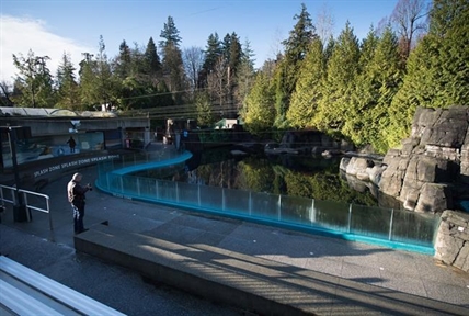 Deaths of two beluga whales at Vancouver Aquarium remains a mystery | iNFOnews.ca Deaths of two beluga whales at Vancouver Aquarium remains a mystery | iNFOnews.ca