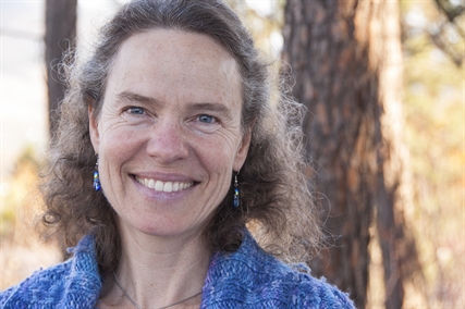 UBC researcher says management of pine beetle not working | iNFOnews.ca