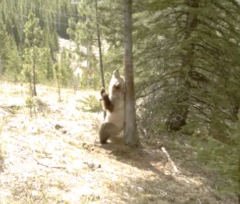 What happens when you're not there | iNFOnews.ca