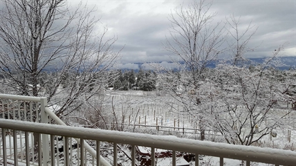 Snow across the Okanagan heralds drop in temperature for the weekend | iNFOnews.ca Snow across the Okanagan heralds drop in temperature for the weekend | iNFOnews.ca
