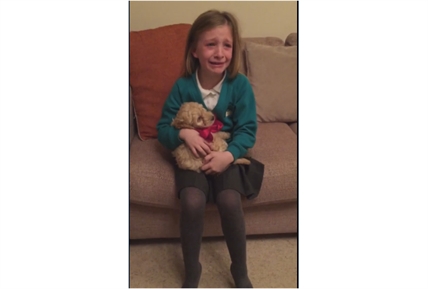 TRENDING NOW: Overjoyed girl gets puppy as a gift | iNFOnews.ca TRENDING NOW: Overjoyed girl gets puppy as a gift | iNFOnews.ca