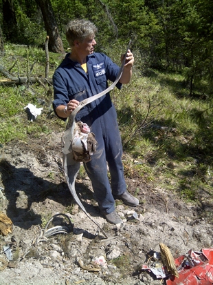 TSB investigators on scene of Kamloops area plane crash | iNFOnews.ca TSB investigators on scene of Kamloops area plane crash | iNFOnews.ca