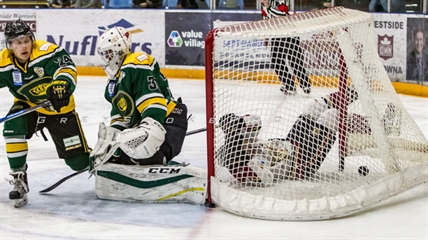 Warriors thrash Kings 6-1 on teddy bear toss night | iNFOnews.ca Warriors thrash Kings 6-1 on teddy bear toss night | iNFOnews.ca
