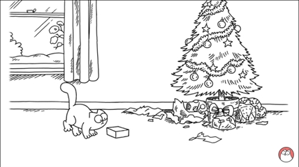 TRENDING NOW: Cat tries to fit in a little box | iNFOnews.ca TRENDING NOW: Cat tries to fit in a little box | iNFOnews.ca