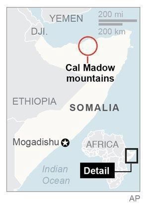 World's last wild frankincense forests are under threat | iNFOnews.ca
