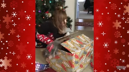 TRENDING NOW: Cat ruins Christmas surprise, kinda | iNFOnews.ca