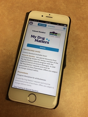 New app makes dog license renewal in Central Okanagan quick and easy | iNFOnews.ca
