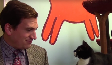 TRENDING NOW: Animal shelter commercial has low budget, but lots of humour | iNFOnews.ca TRENDING NOW: Animal shelter commercial has low budget, but lots of humour | iNFOnews.ca