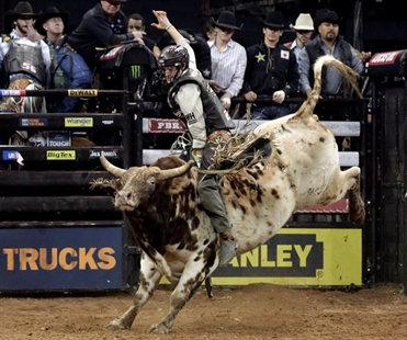 Merritt bull rider Ty Pozzobon dead at 25 | iNFOnews.ca