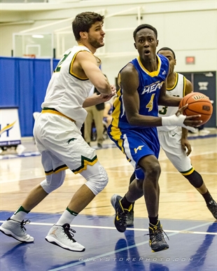 RECAP: Heat men fall by a dozen to Griffins in Edmonton | iNFOnews.ca