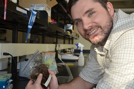 UBC researchers conclude root systems and fungi do more than feed trees | iNFOnews.ca