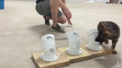 TRENDING NOW: Training a police puppy | iNFOnews.ca