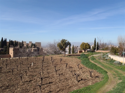 MORAN: Respect for food in Spanish culture goes back centuries | iNFOnews.ca