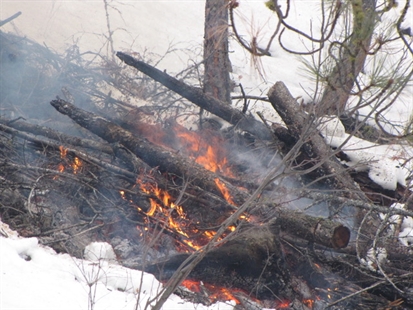 Regional Parks Fuel Modification Projects | iNFOnews.ca