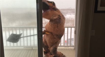 TRENDING NOW: T-Rex shovelling snow | iNFOnews.ca TRENDING NOW: T-Rex shovelling snow | iNFOnews.ca
