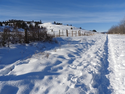 Clouds and rain showers in the Okanagan forecast | iNFOnews.ca