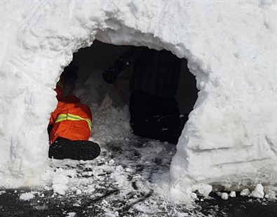 'And then the lights went out:' Dog helps save man, boys in collapsed fort | iNFOnews.ca