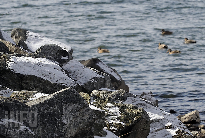 February 2016 in Kelowna already felt like spring | iNFOnews.ca