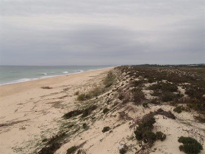 MORAN: A foraging foray onto the Portuguese Iberian Peninsula | iNFOnews.ca