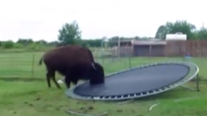 Jump around, jump around | iNFOnews.ca