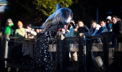 Cetacean ban at Vancouver Aquarium was public's will: park board commissioner | iNFOnews.ca Cetacean ban at Vancouver Aquarium was public's will: park board commissioner | iNFOnews.ca