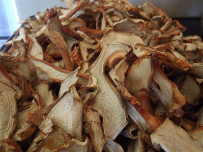 MORAN: Cooking with dried wild mushrooms | iNFOnews.ca