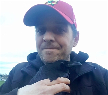 Chummy east Vancouver crow faces lengthy recovery after suspected beating | iNFOnews.ca