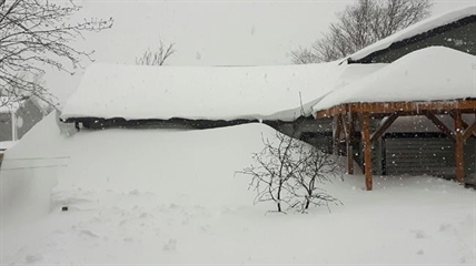 Pack ice, epic blizzards as 'relentless' winter won't let go across Newfoundland | iNFOnews.ca
