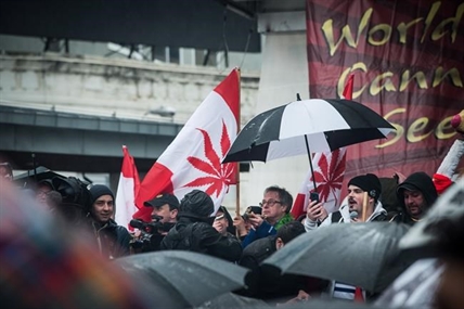 'Prince of Pot' and Jodie Emery denounce crackdown on marijuana users | iNFOnews.ca