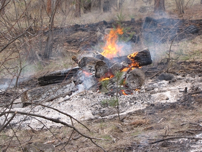 Open burning season ends April 30 | iNFOnews.ca