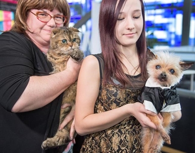 Quebec vet association unveils names of oldest dog and cat in the province | iNFOnews.ca Quebec vet association unveils names of oldest dog and cat in the province | iNFOnews.ca