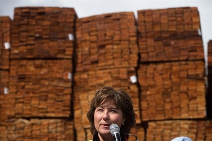 B.C. premier promises to fight U.S.-imposed softwood lumber tariffs | iNFOnews.ca